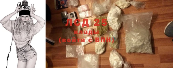 PSILOCYBIN Балахна