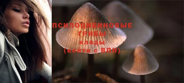 гидра Баксан