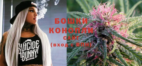 гидра Баксан